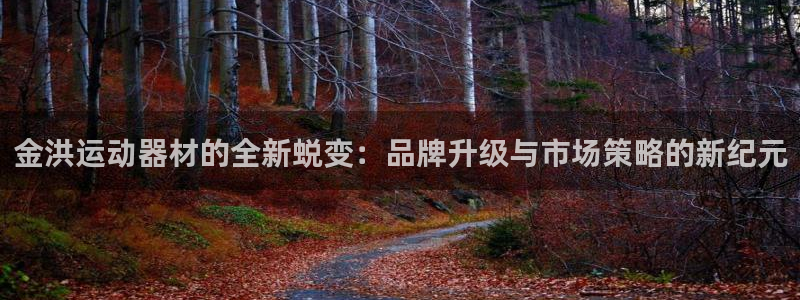 意昂体育4招商电话地址：金洪运动器材的全新蜕变：品牌