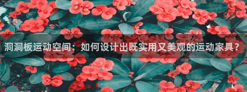 意昂体育4招商电话：洞洞板运动空间：如何设计出既实用又美观的