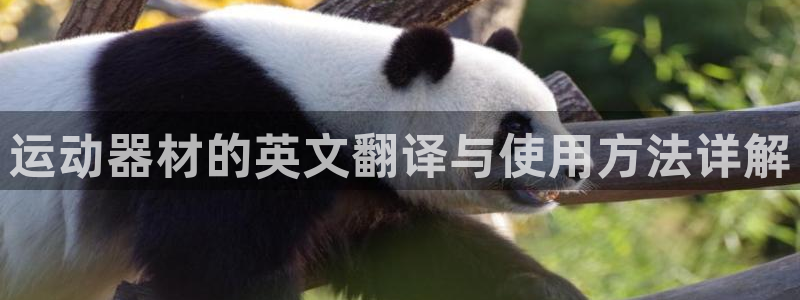意昂4娱乐：运动器材的英文翻译与使用方法详解