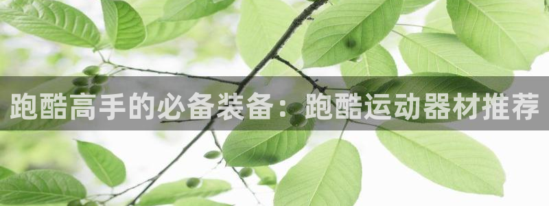 意昂4代理