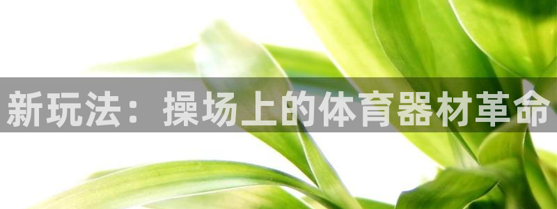 意昂体育4招商：新玩法：操场上的体育器材革命