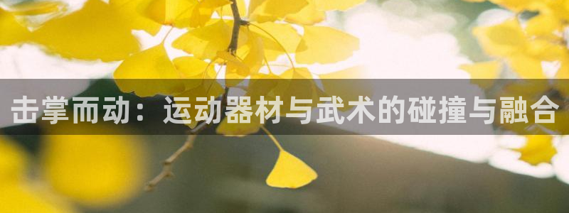 意昂体育4：击掌而动：运动器材与武术的碰撞与融合