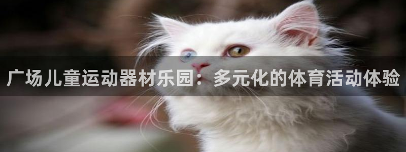 意昂体育4平台：广场儿童运动器材乐园：多元化的体育活动体验