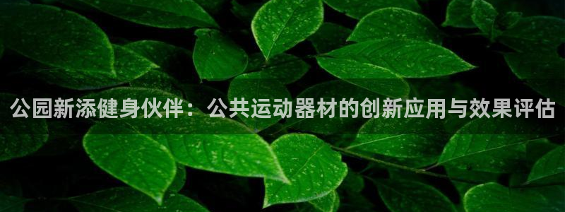 意昂4集团：公园新添健身伙伴：公共运动器材的创新应用与效果评
