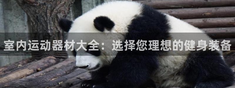 意昂4娱乐是那个系列的台子：室内运动器材大全：选择您理想的健