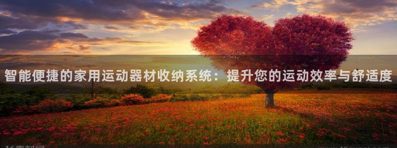 海南意昂体育4发展怎么样：智能便捷的家用运动器材收纳