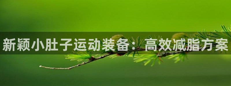 意昂体育4注册：新颖小肚子运动装备：高效减脂方案
