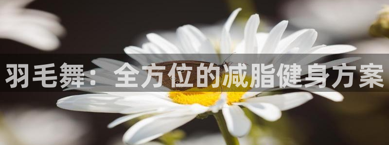 意昂体育4软件：羽毛舞：全方位的减脂健身方案