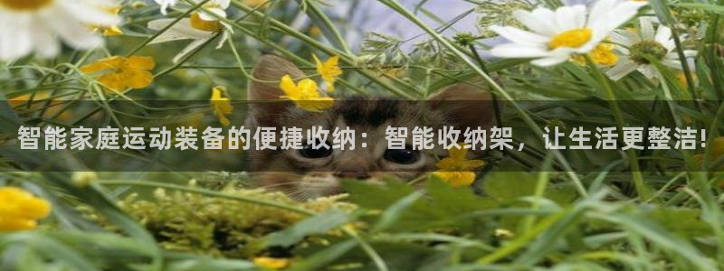 意昂4集团官网首页：智能家庭运动装备的便捷收纳：智能