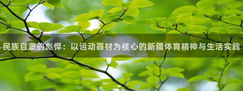 意昂体育4招商电话号码：民族自豪的彪悍：以运动器材为核心的新