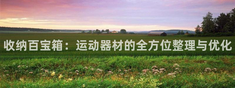 意昂4官方：收纳百宝箱：运动器材的全方位整理与优化