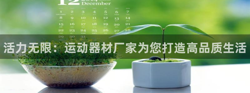 意昂体育4平台：活力无限：运动器材厂家为您打造高品质生活