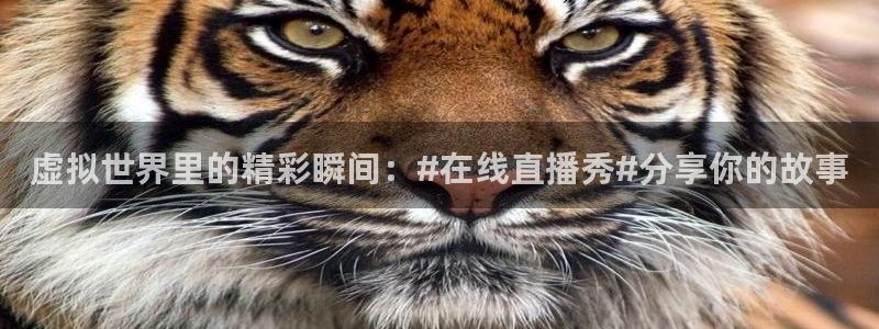 龙门直播吧：虚拟世界里的精彩瞬间：#在线直播秀#分享你的故事