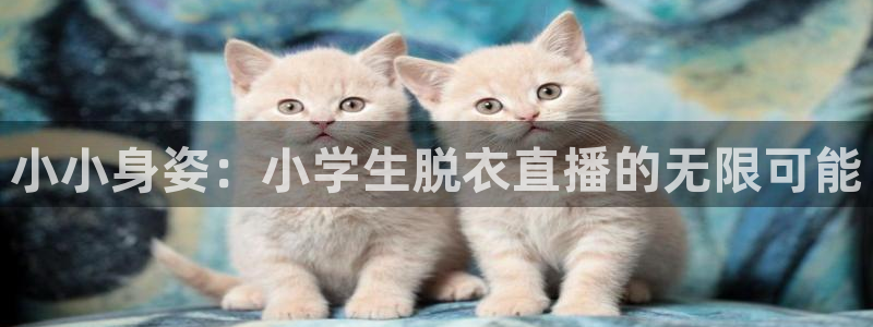 nba直播龙门：小小身姿：小学生脱衣直播的无限可能